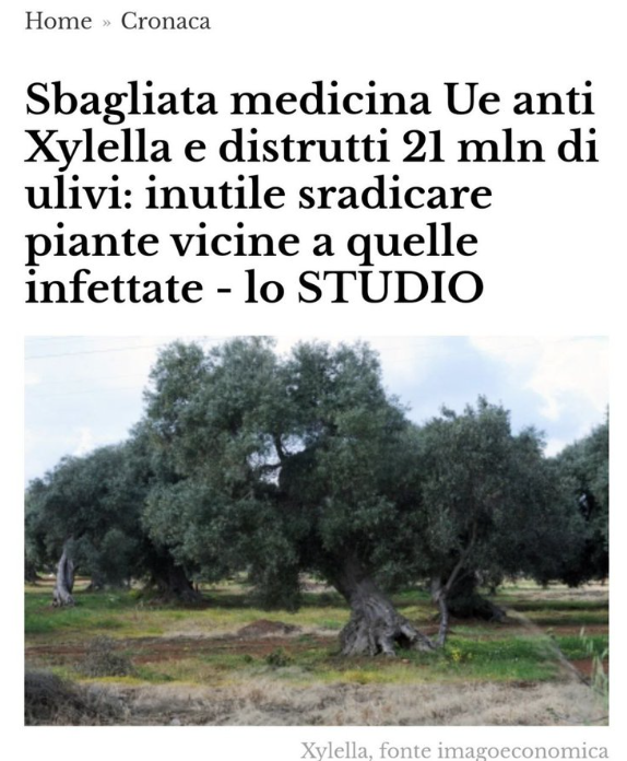 Screenshot 2024-04-22 115406.png