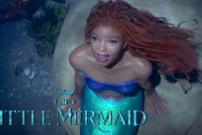 SÌ... GOMBLODDOH ! (di Giuseppe Cozzolino)