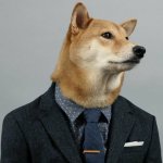 Gli animalisti non conoscono davvero gli animali (di Franco Marino)