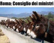 L'origine dei cretini in politica (di Franco Marino)