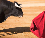 Il drappo rosso, il drappo nero e il Generale con la kippah
