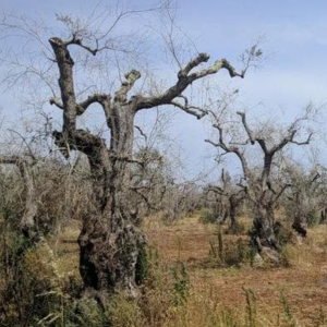 Screenshot 2024-02-05 162619.png