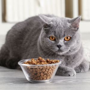 Screenshot 2024-10-12 171744.png