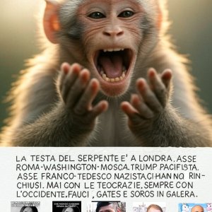 image - 2025-06-16T103610.099.jpg